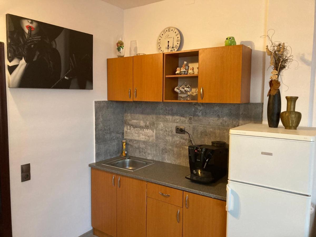 Edit House Apartment Târgu-Mureş Exterior foto
